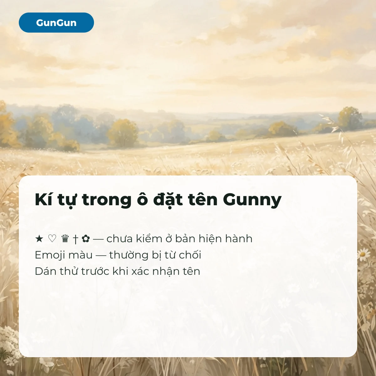 Trạng thái kí tự trong ô đặt tên Gunny: kí hiệu đen trắng chưa kiểm, emoji màu thường bị từ chối