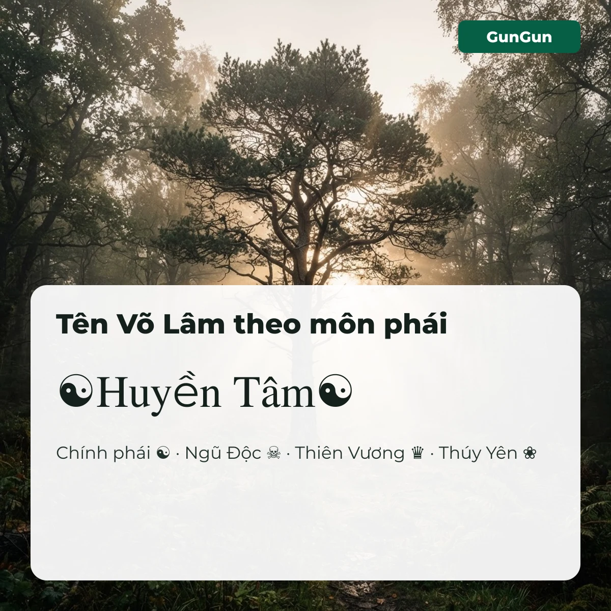 Tên Võ Lâm 1 kí tự đặc biệt theo môn phái: ☯Huyền Tâm☯ cho chính phái, ☠ Ngũ Độc, ♛ Thiên Vương, ❀ Thúy Yên