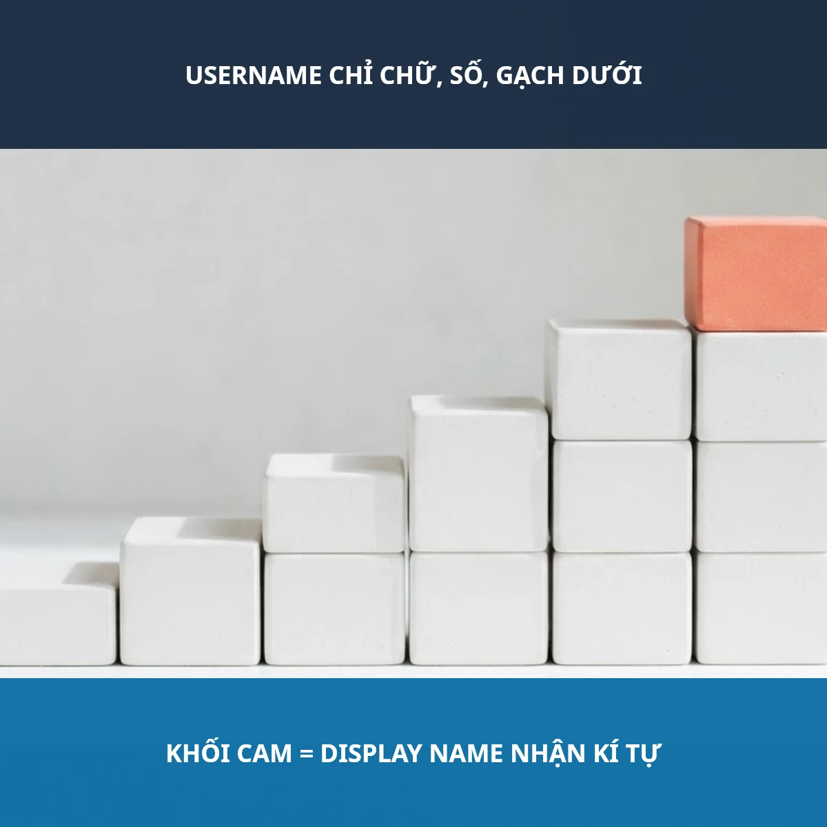 Username Roblox chỉ chữ số gạch dưới, Display Name nhận kí tự đặc biệt
